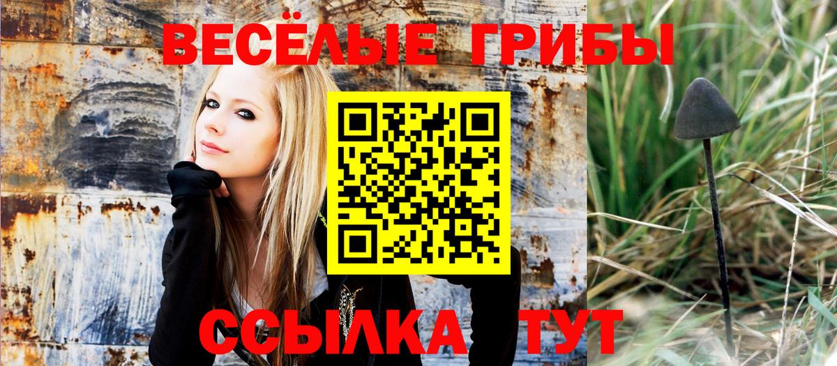 Галлюциногенные грибы Cubensis  Вход с VPN  Березники 